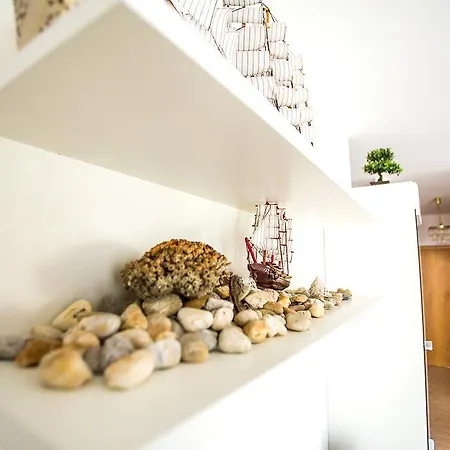 Appartement Shell *